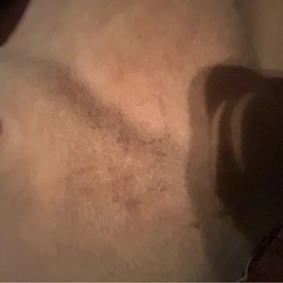 Diane von Furstenburg Black and Tan Leather Sleeveless Dress - Picture 12 of 13